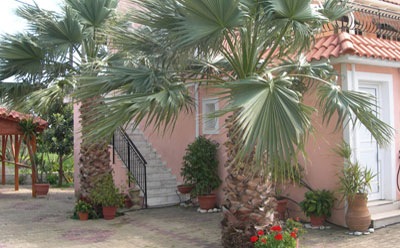 Cheap svoronata deals - Katerina Studios